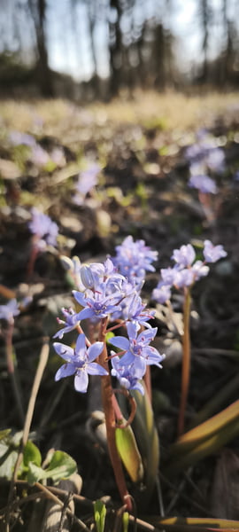 Itt a tavasz vár a természet! 