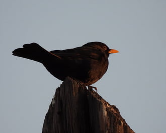 Szép nap volt a mai 