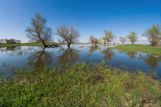 A Hortobágy folyó ártere